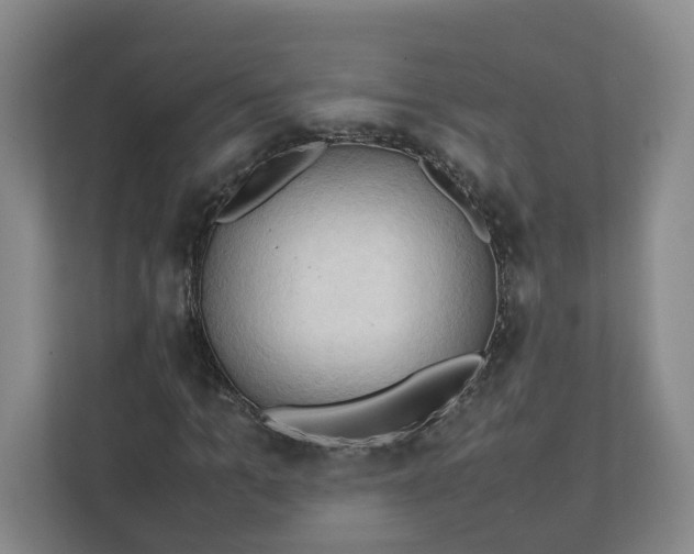X0000111950965200908101219