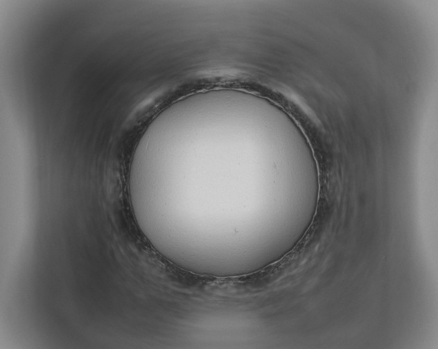 X0000111950967200908101219