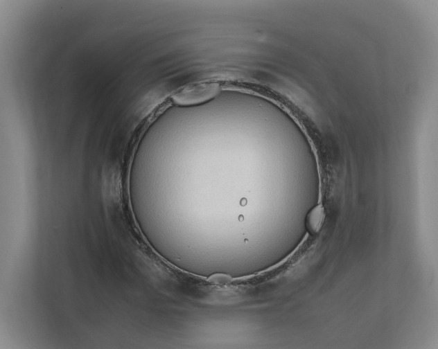 X0000111950969200908101219