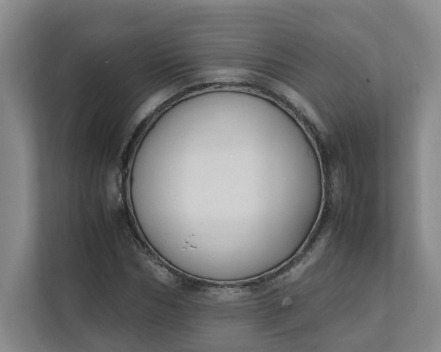 X0000111950970200908101219