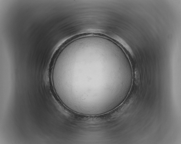 X0000111950972200908101219