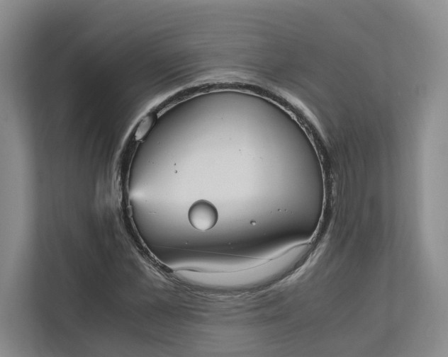 X0000111950973200908101219