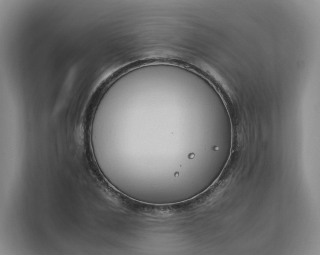 X0000111950975200908101219
