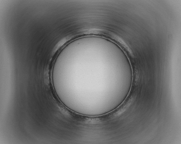 X0000111950978200908101219