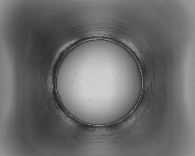 X0000111950979200908101219