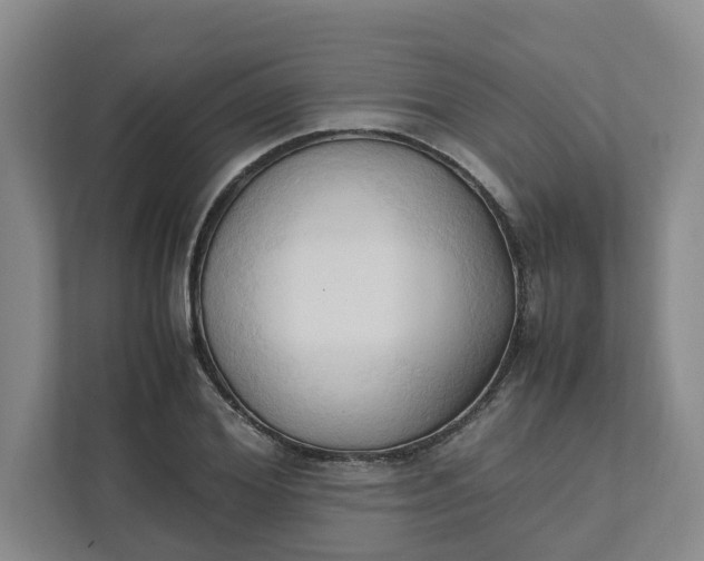 X0000111950980200908101219