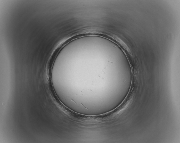 X0000111950981200908101219