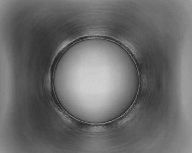 X0000111950982200908101219