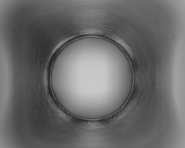 X0000111950983200908101219