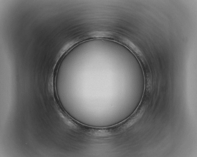 X0000111950986200908101219