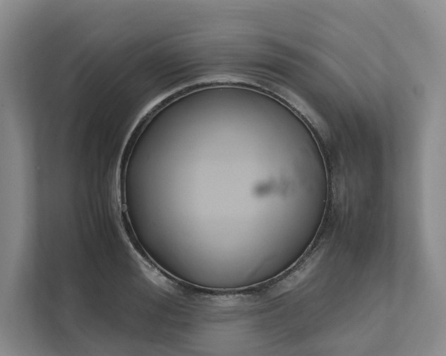 X0000111950988200908101219