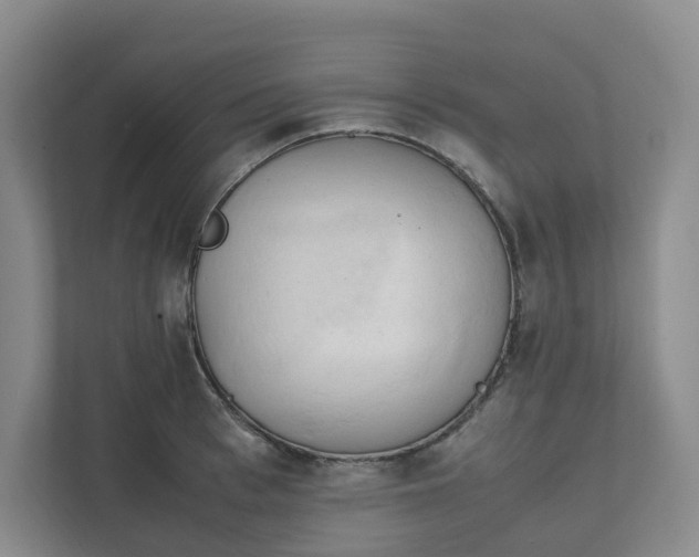 X0000111950993200908101219