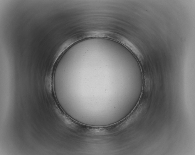 X0000111950994200908101219