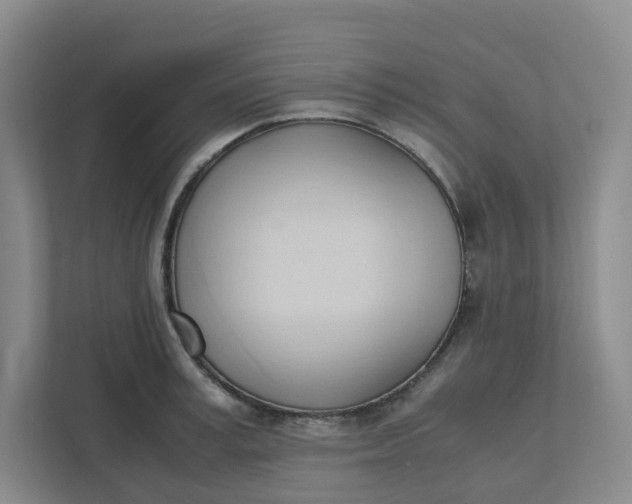 X0000111950995200908101219