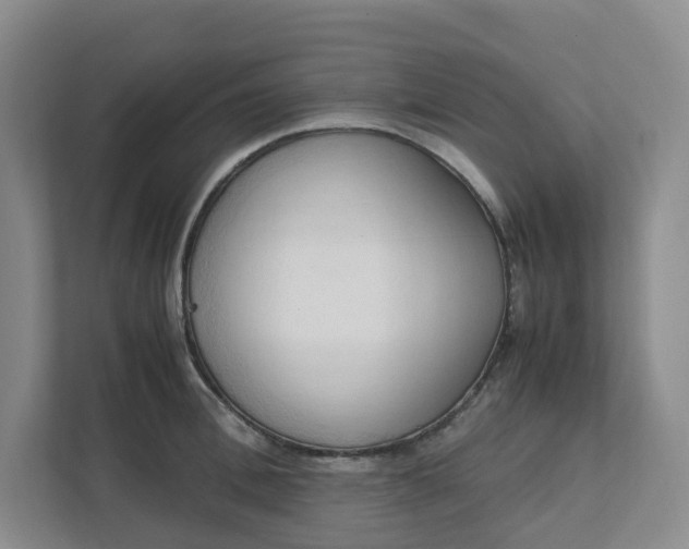 X0000111950996200908101219