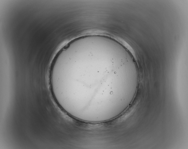 X0000111950997200908101219