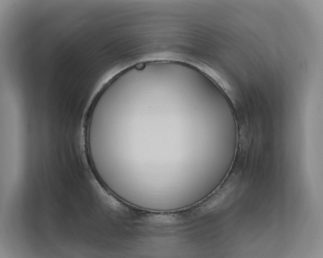X0000111950998200908101219