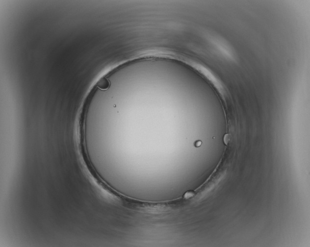 X0000111950999200908101218