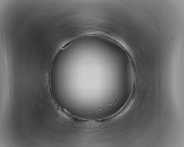 X0000111951001200908101218