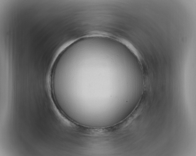 X0000111951003200908101218