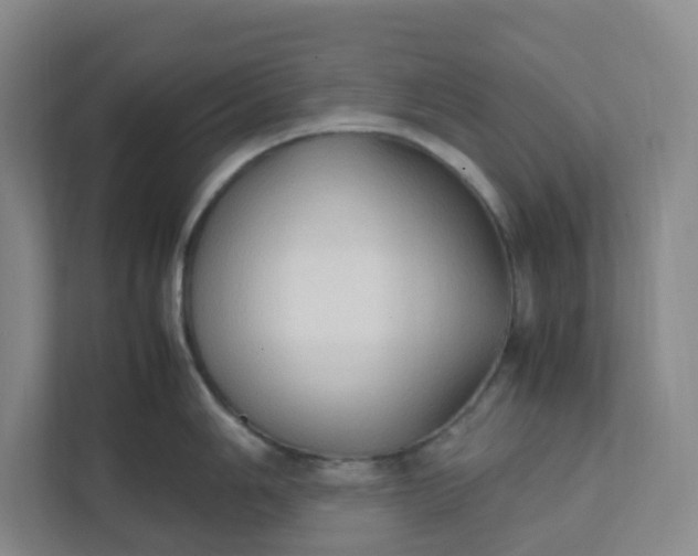 X0000111951006200908101218