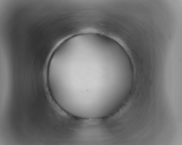X0000111951008200908101218