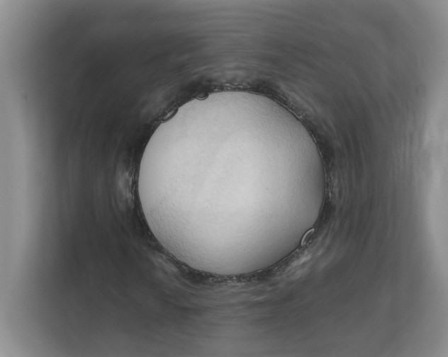 X0000111951010200908101218