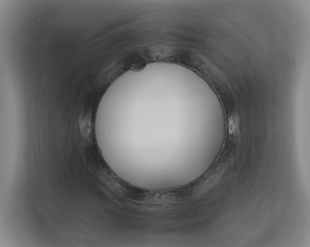 X0000111951011200908101218