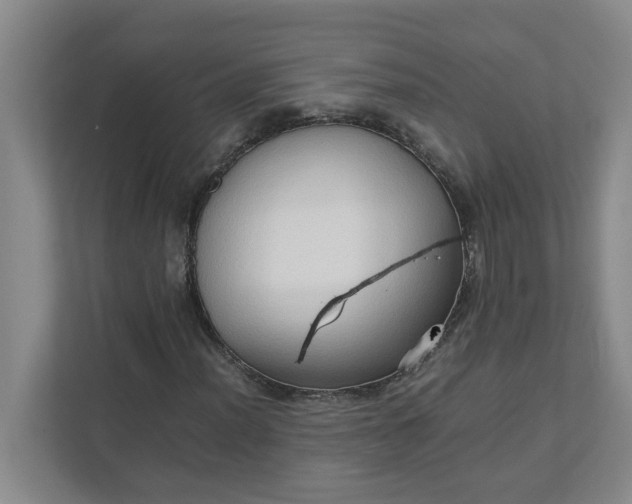 X0000111951012200908101218