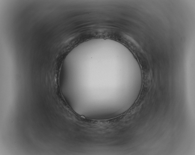 X0000111951013200908101218