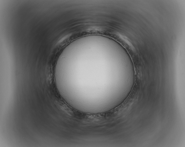 X0000111951015200908101218