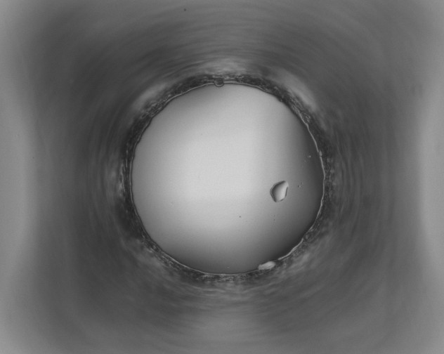X0000111951016200908101218