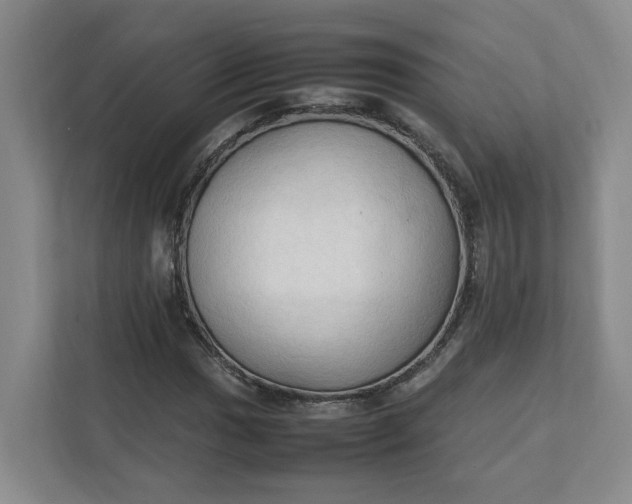 X0000111951017200908101218