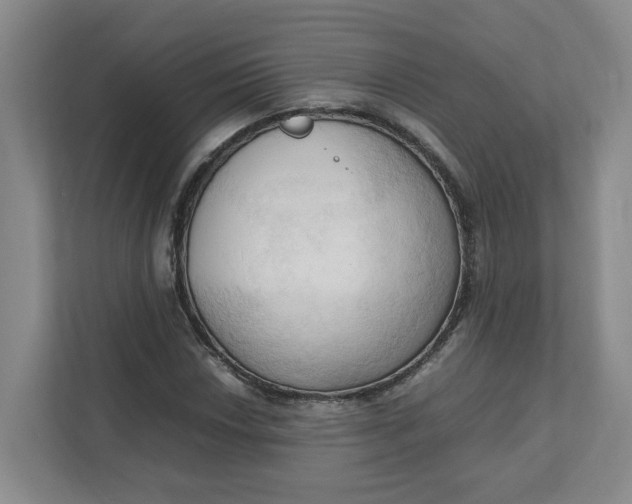 X0000111951018200908101218