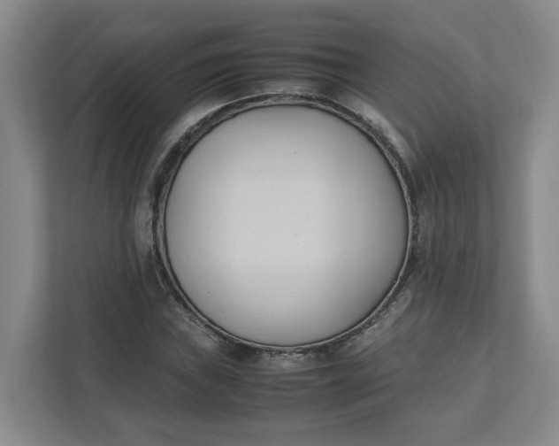 X0000111951019200908101218