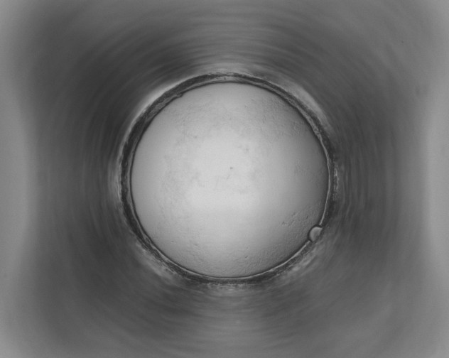 X0000111951020200908101218