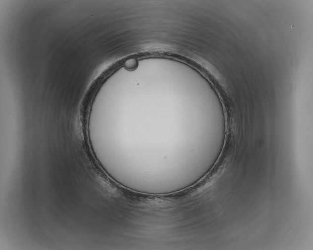 X0000111951022200908101218