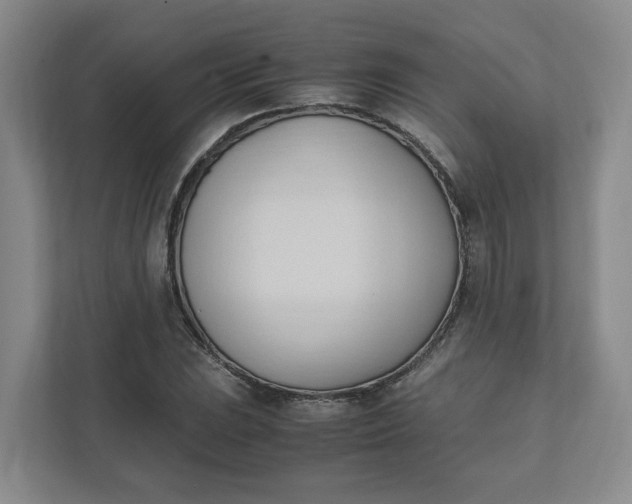 X0000111951023200908101218