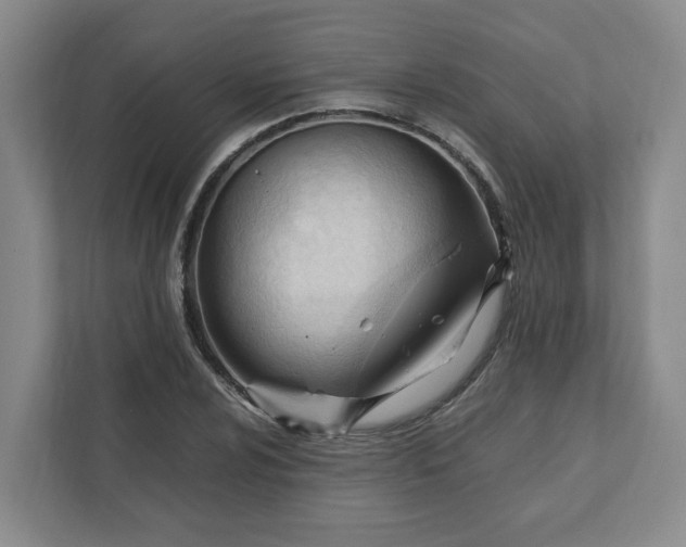 X0000111951024200908101218