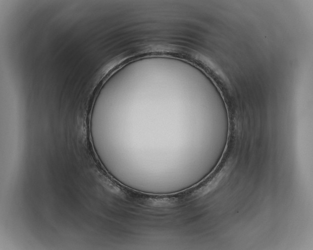 X0000111951025200908101218