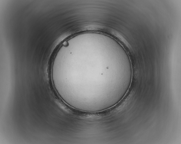 X0000111951026200908101218