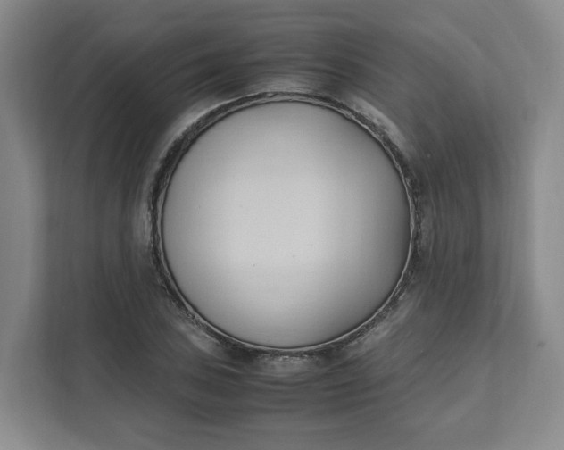 X0000111951027200908101218