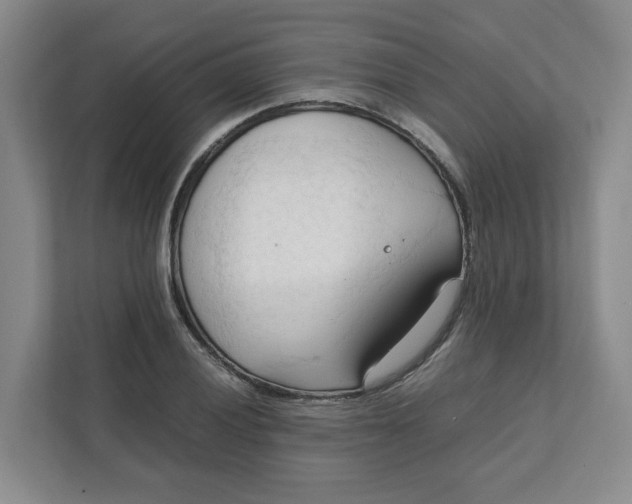 X0000111951028200908101218