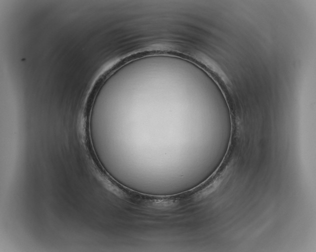 X0000111951029200908101218