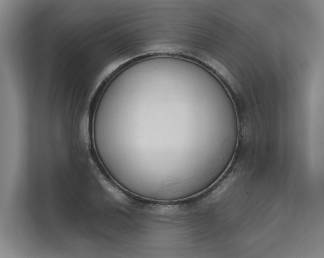 X0000111951030200908101218