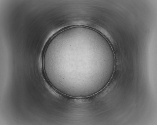 X0000111951032200908101218