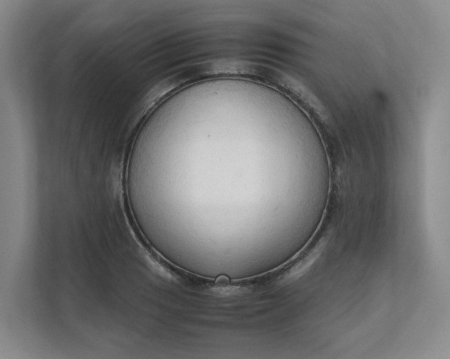 X0000111951033200908101218