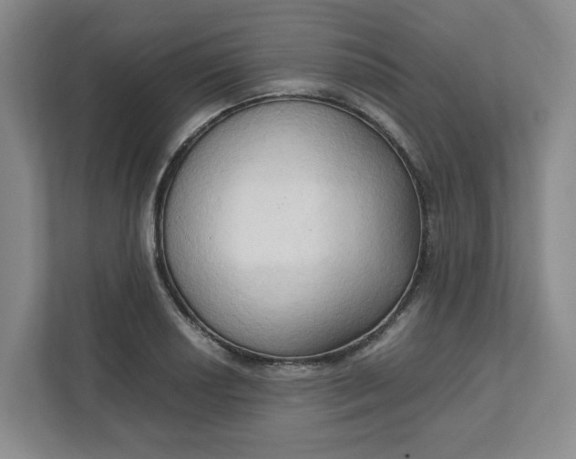 X0000111951034200908101218