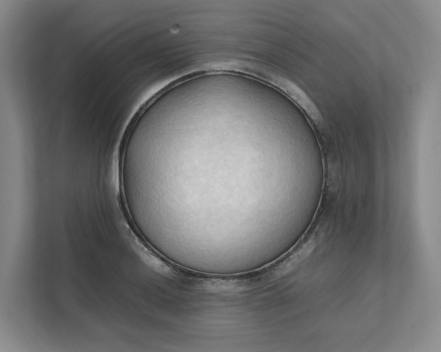 X0000111951036200908101218