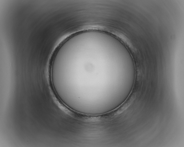 X0000111951038200908101218